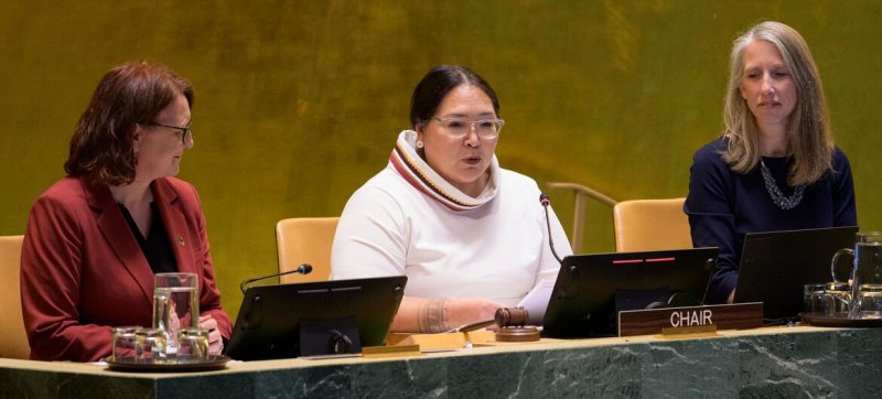 UN Forum puts spotlight on healthcare for Indigenous Peoples